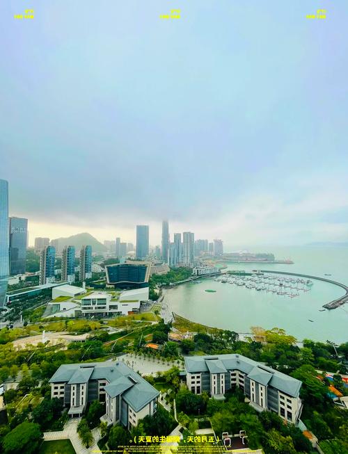 深圳新入住楼盘