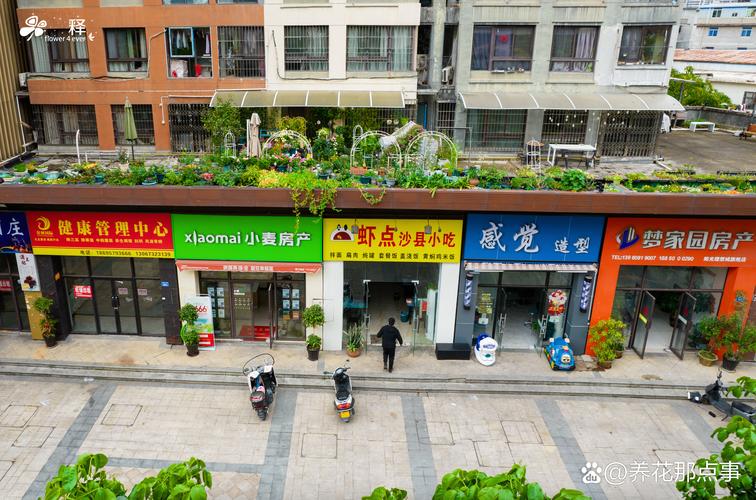 广州棠悦花园地址