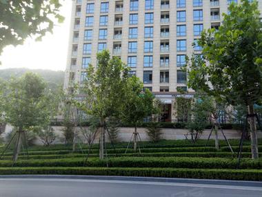 大连桃源新楼盘