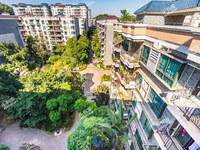 顺德大良岭岚花园