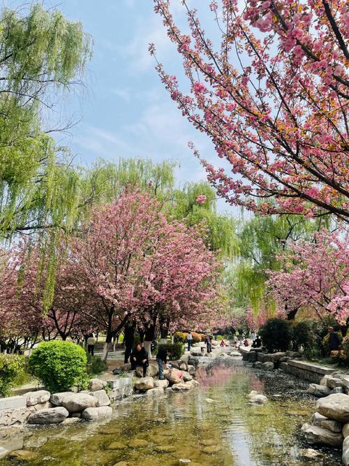 西安红樱花园