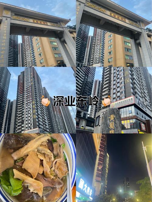 深圳深业东岭房价