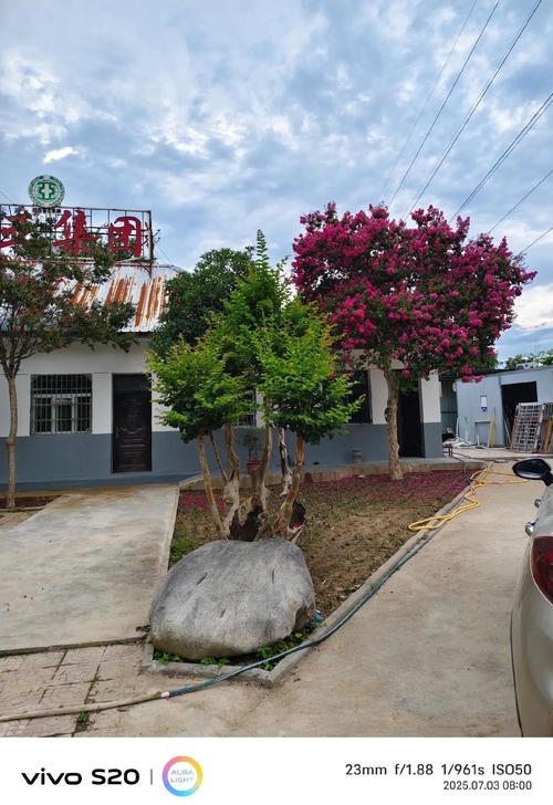 西安紫薇花园在哪里