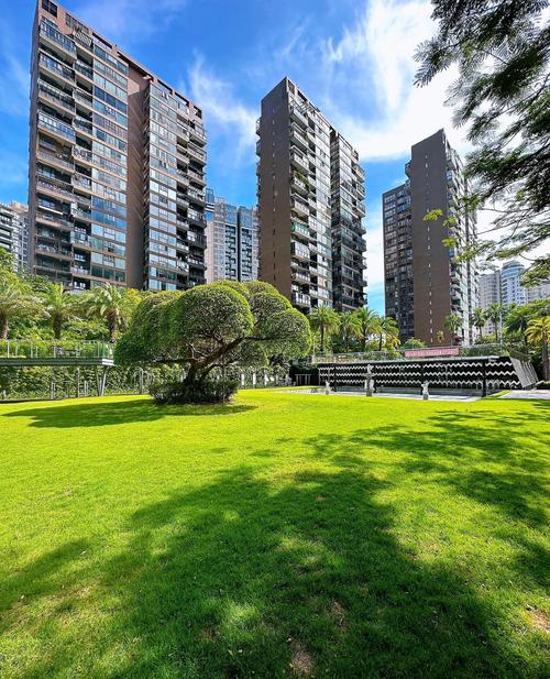 深圳近期新开楼盘