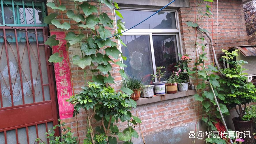 陕报社南山花园