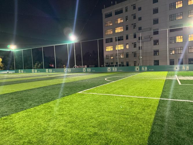 南花园足球场