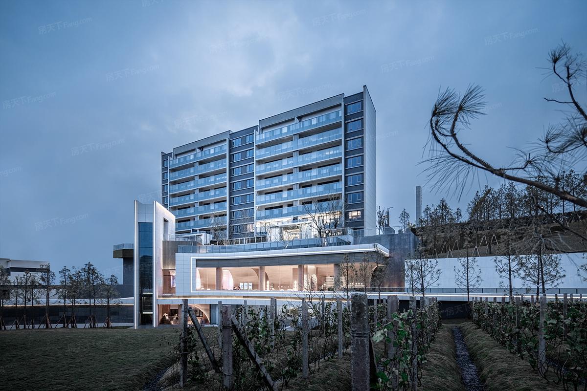 重庆最新洋房楼盘