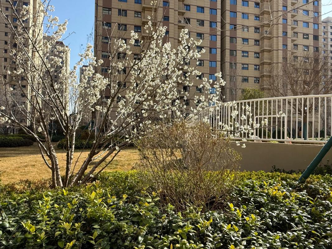 邯郸新房楼盘现房