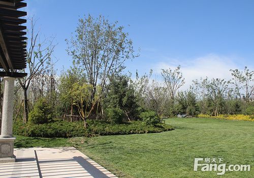 西宁新楼盘开盘