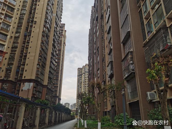 隆回新开发楼盘