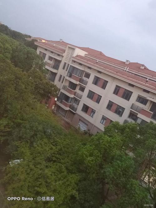 坪石金鸡花园房价