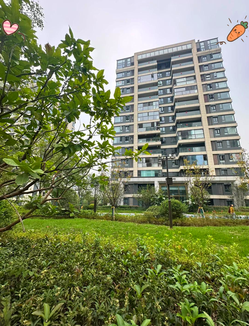 茶园新区新楼盘