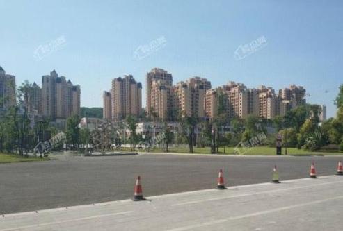 茶园新区新楼盘