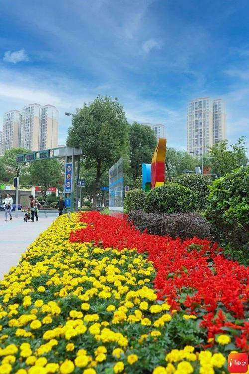 青白江广场花园