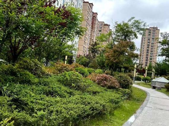 日照紫钰花园房价