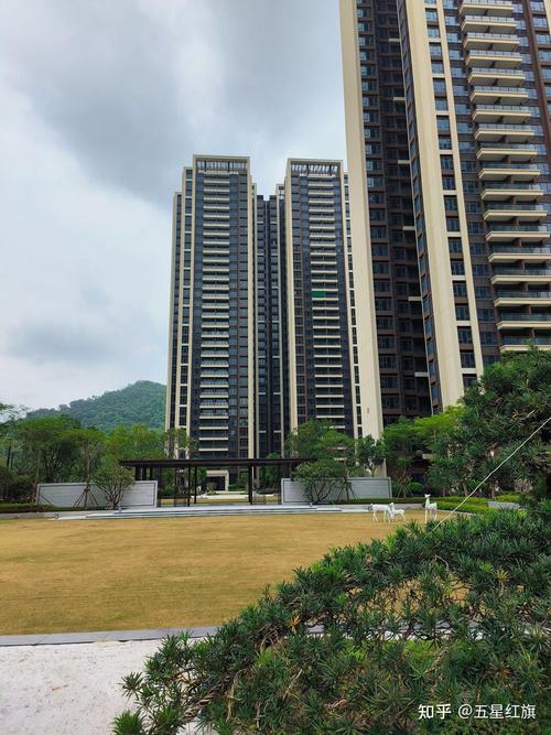 中洲集团大亚湾楼盘