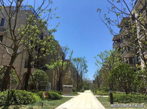 安吉碧桂园楼盘