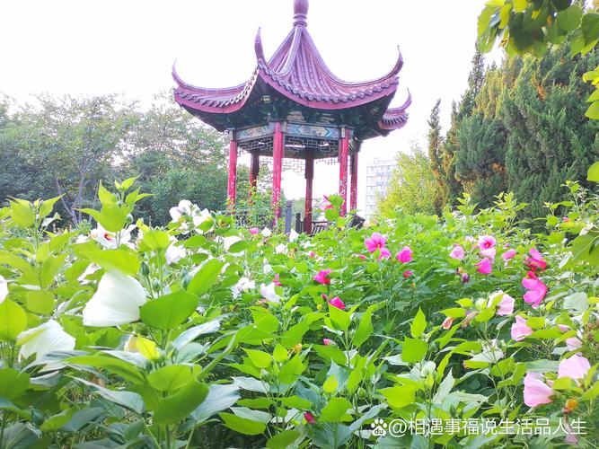 济南幸福花园