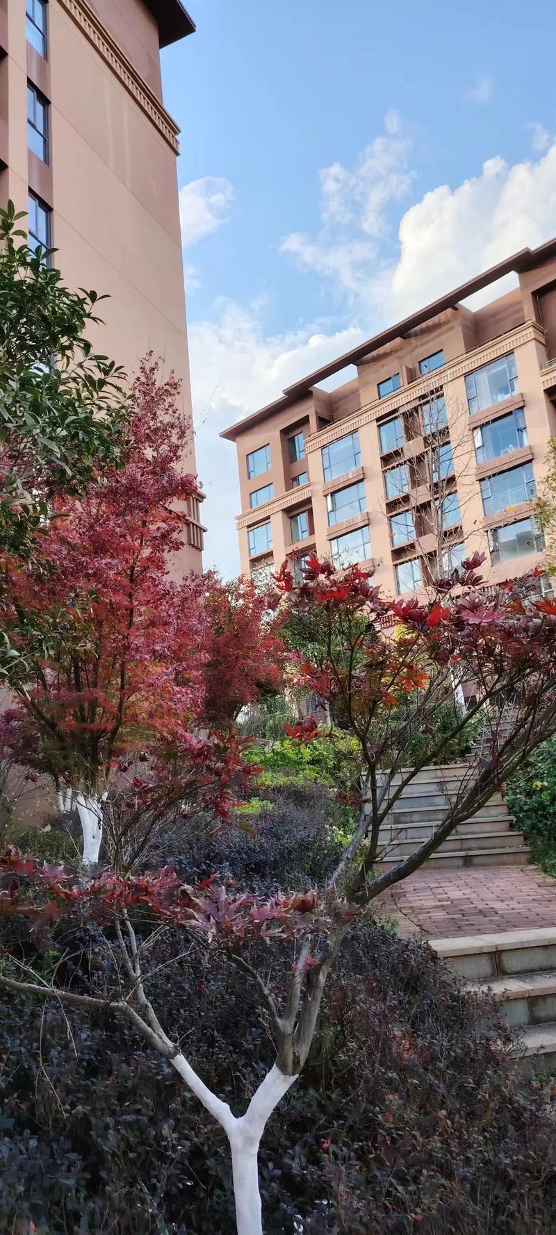 搜房网昆明新楼盘