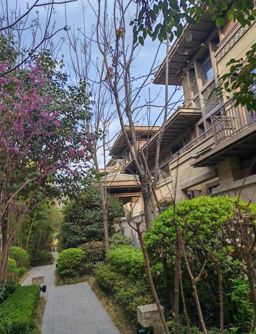 临潼新楼盘出售