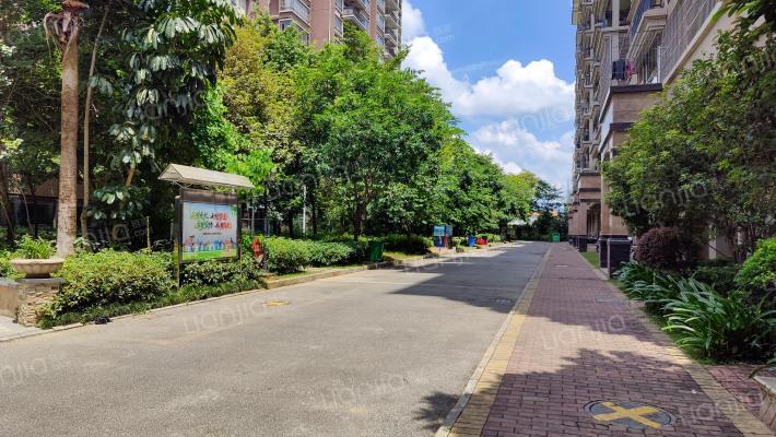 惠州龙溪新楼盘