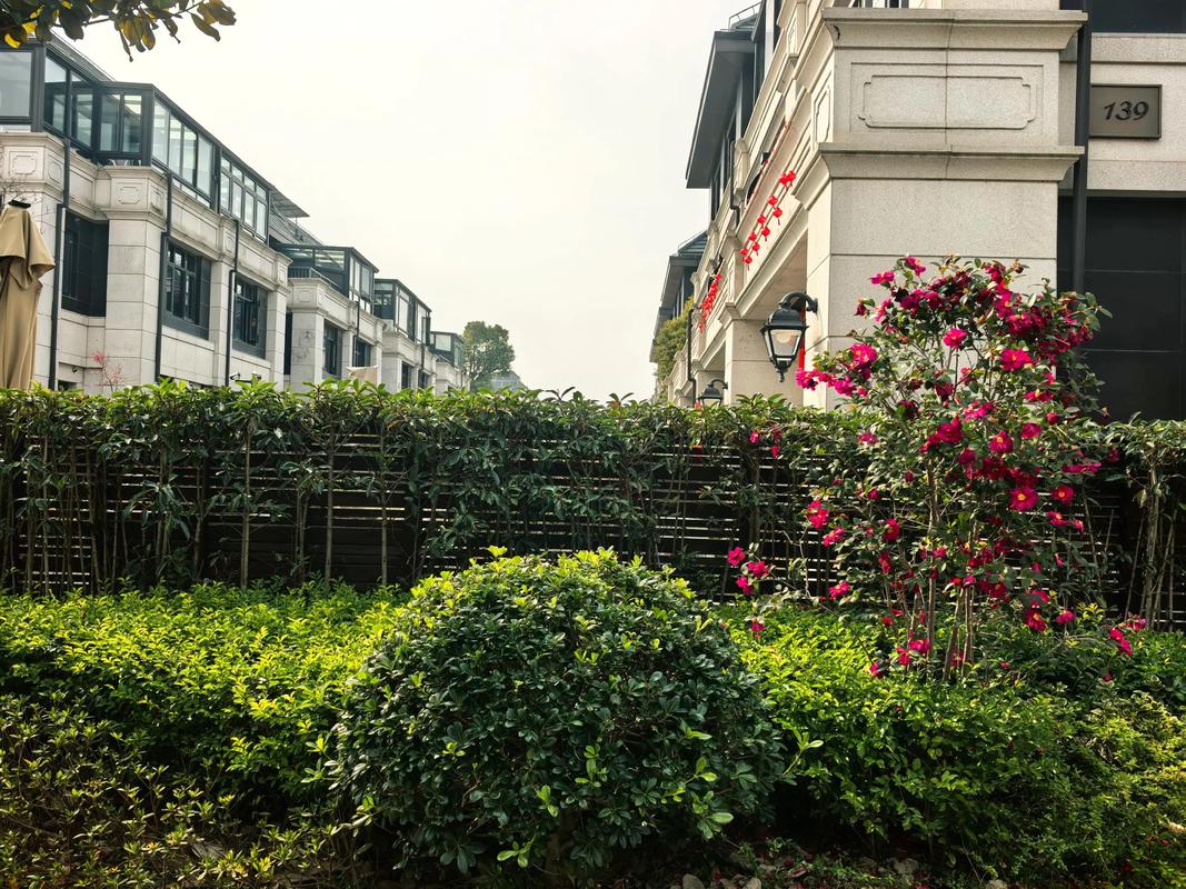 天和尚上海房价