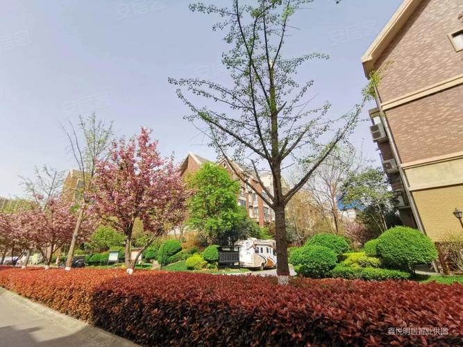 西西安小镇房价