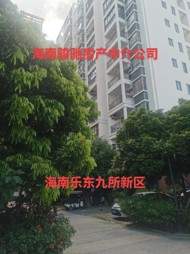 海南九所新区房价