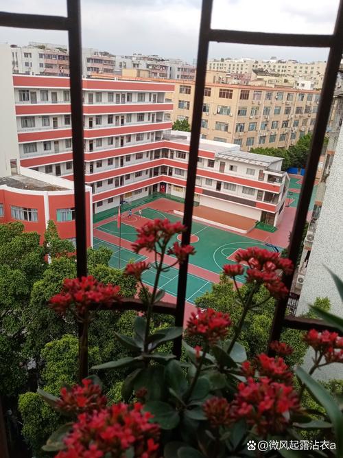 龙珠花园小学