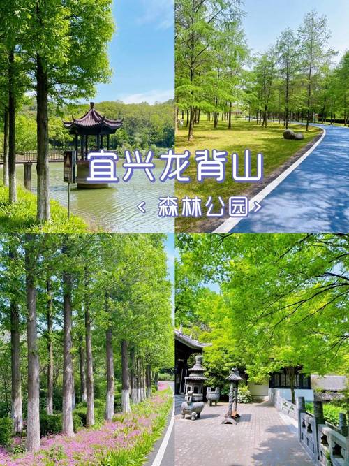 宜兴龙背山庄房价