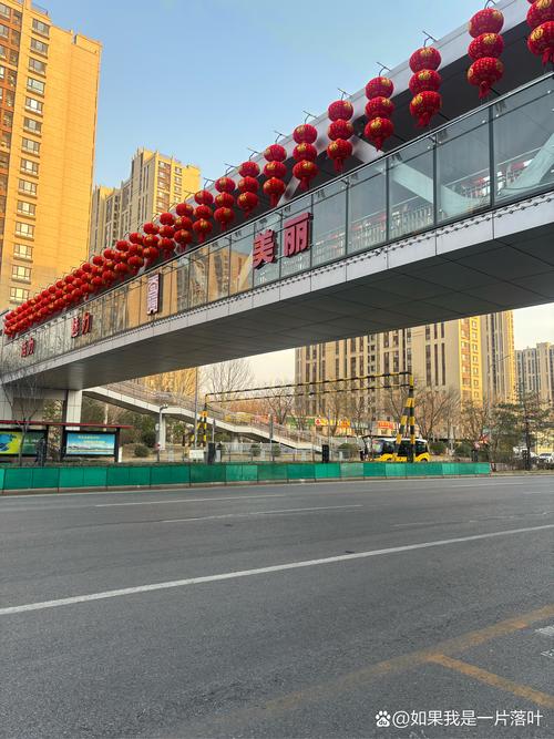 花园路纬五路交叉口