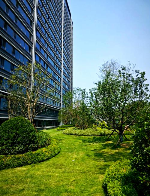 绿城在合肥有哪些楼盘