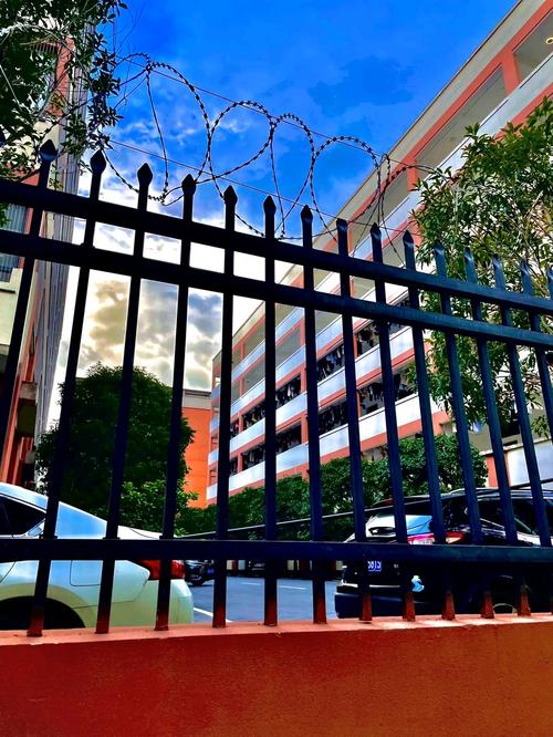 美联奥林匹克花园学校