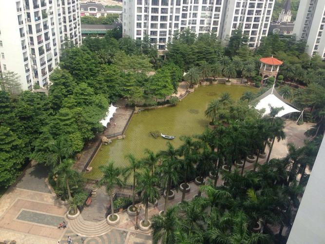 金海岸花园聚湖