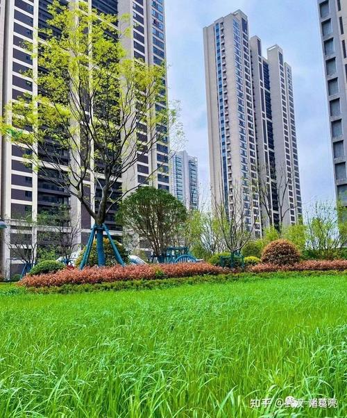 东西湖吴家山新楼盘