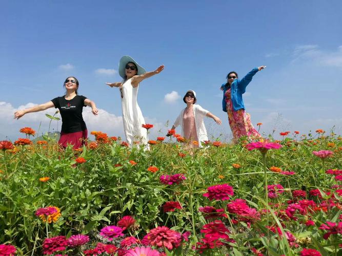 武冈三岚铺万花园