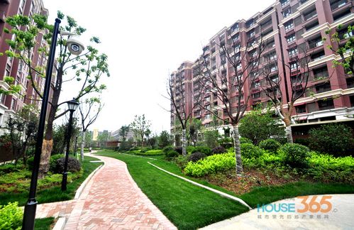 江宁大学城附近楼盘