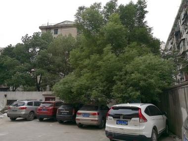 长沙市王府花园