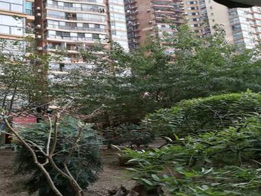 长沙市王府花园