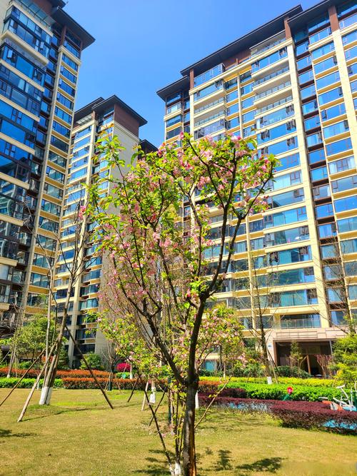 榆次五证齐全的楼盘