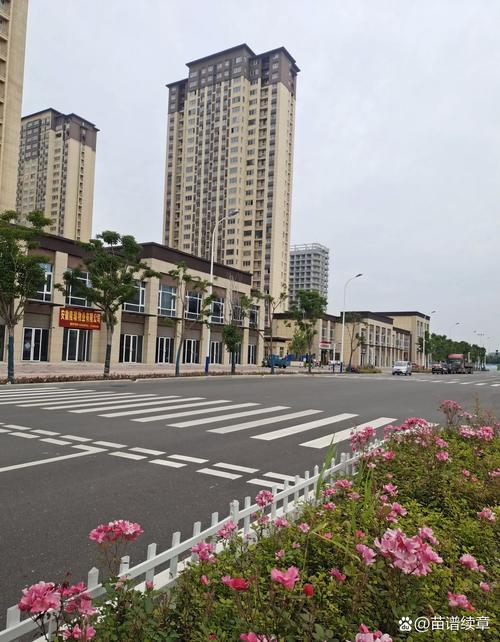 仁寿视高镇新楼盘