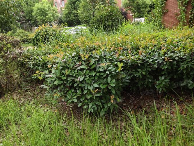 灌云兴业城市花园