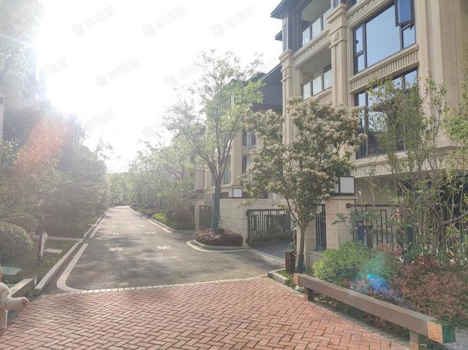 衢州沈家哪个楼盘好