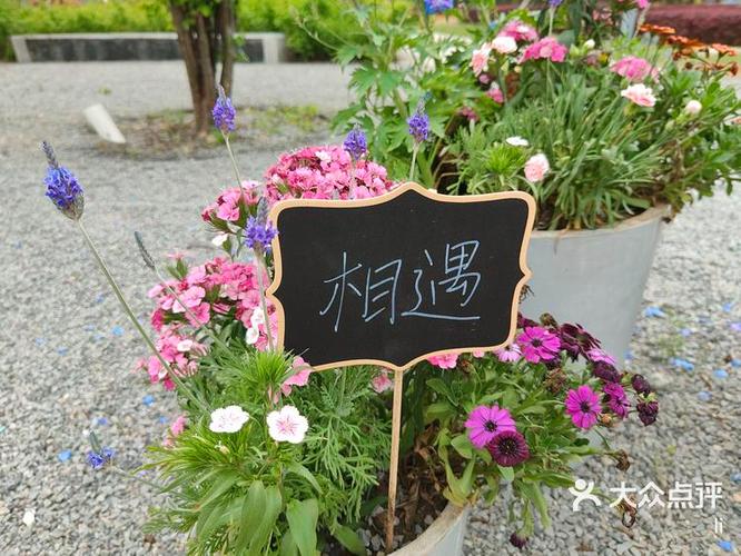 花园起名字
