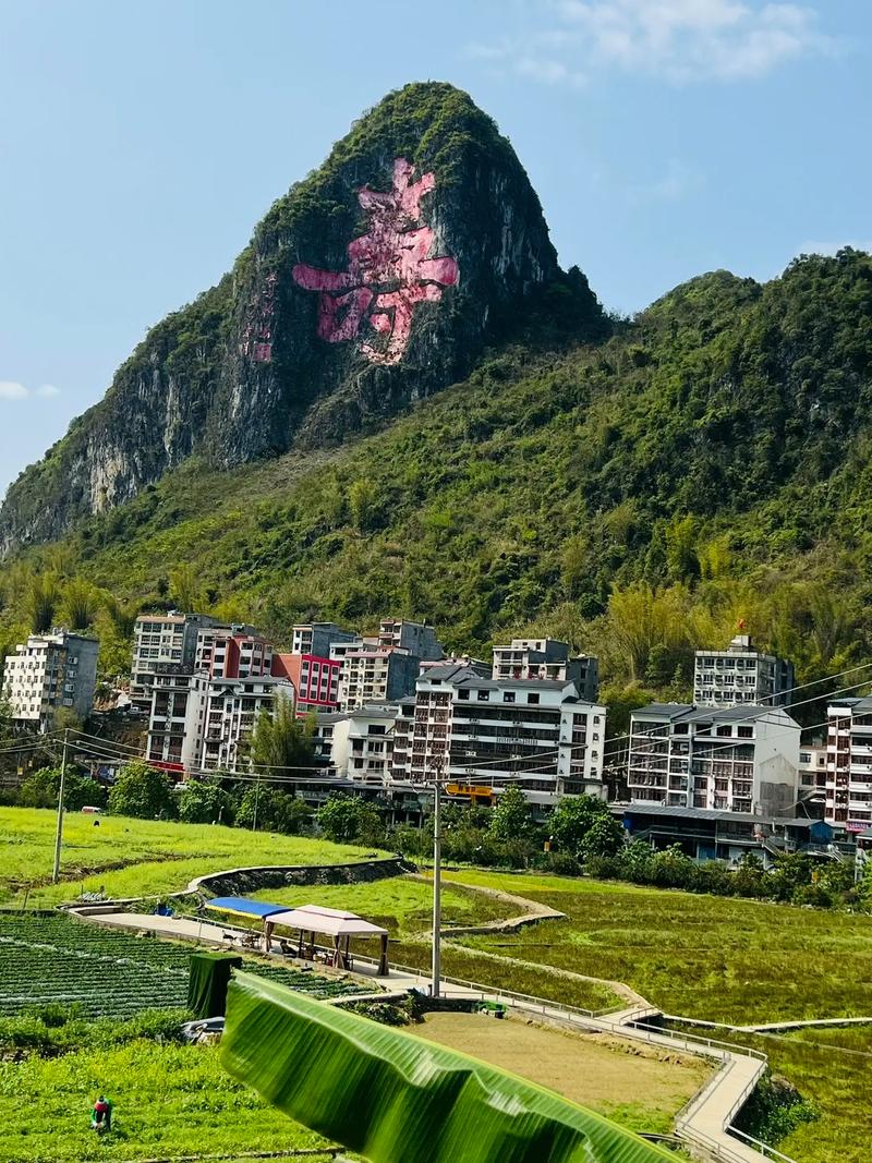 广西巴马长寿村房价