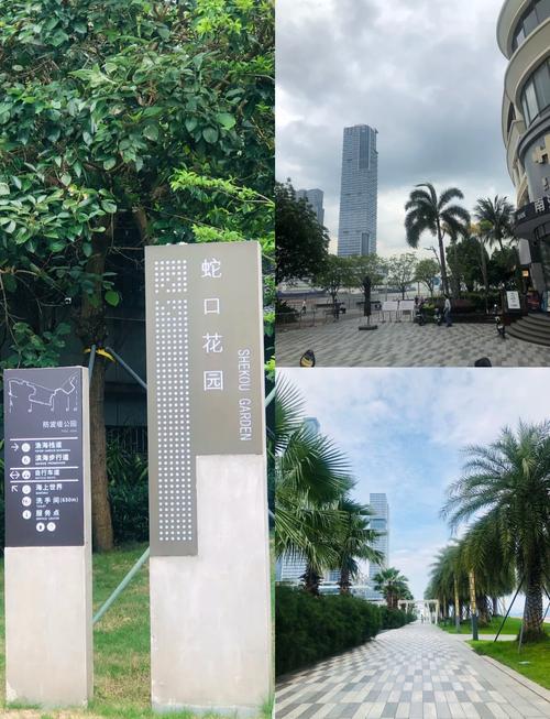 深圳蛇口半岛花园
