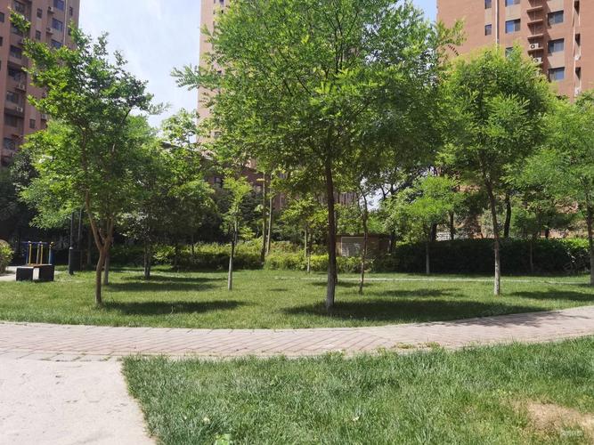 西安联盟新城房价