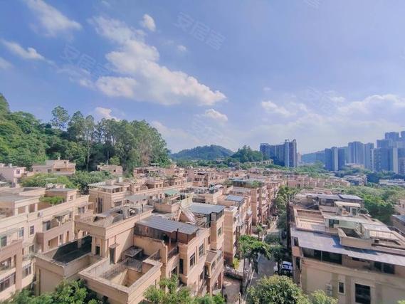 黄埔萝岗新楼盘