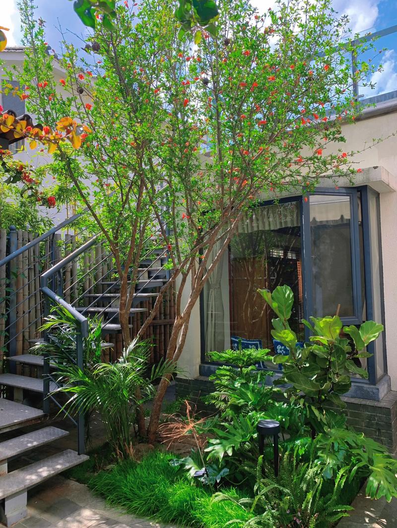 大理小院子房价