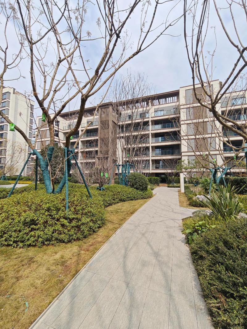 浙江龙泉新楼盘